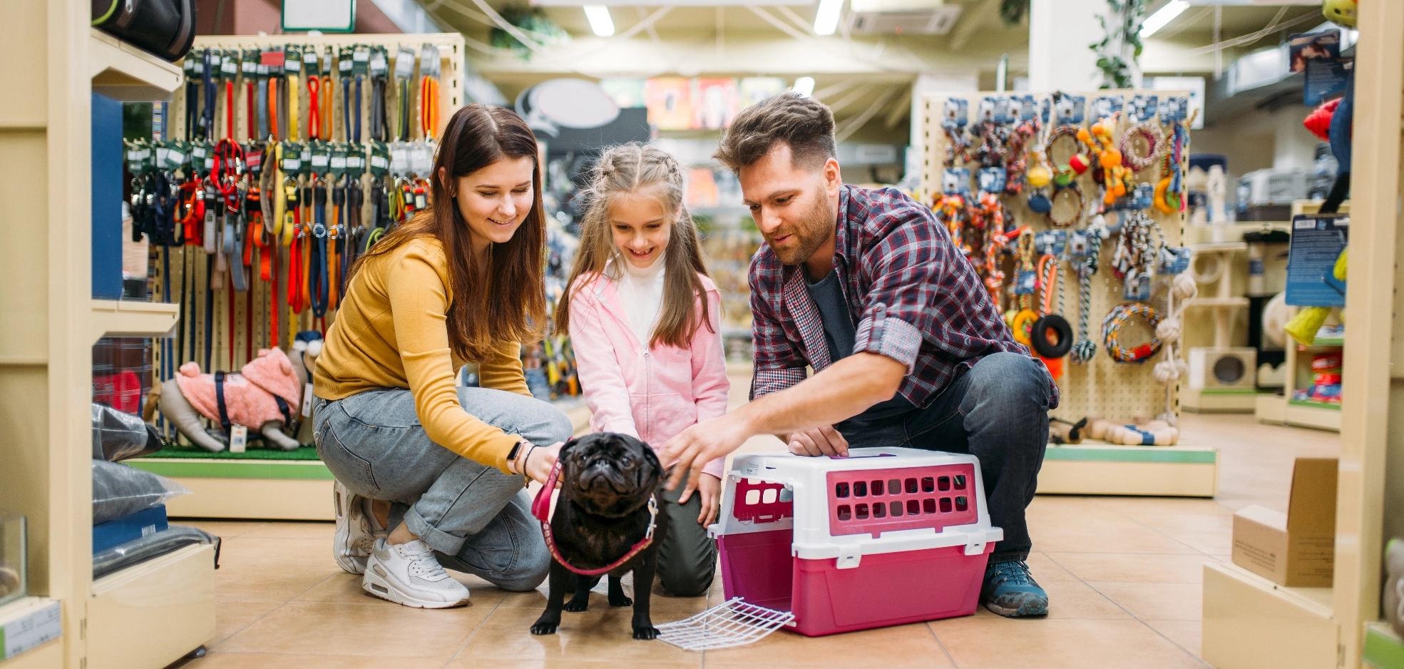Image Gallery tec-nut.com for Jenny's Pet Shop - New Company, Pet food, Simple Website, Free Website, Free Website, Easy Website, Pet accessories, Pet supplies, easy website, Free website template, New Website, Best Website Builder